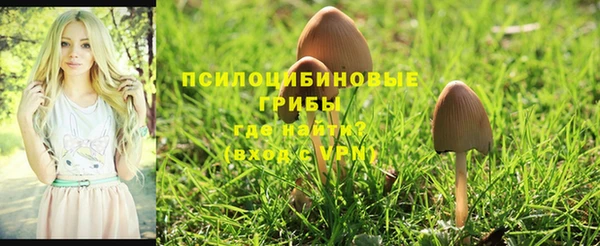 мяу мяу кристалл Майский