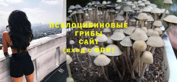 хмурый Сясьстрой